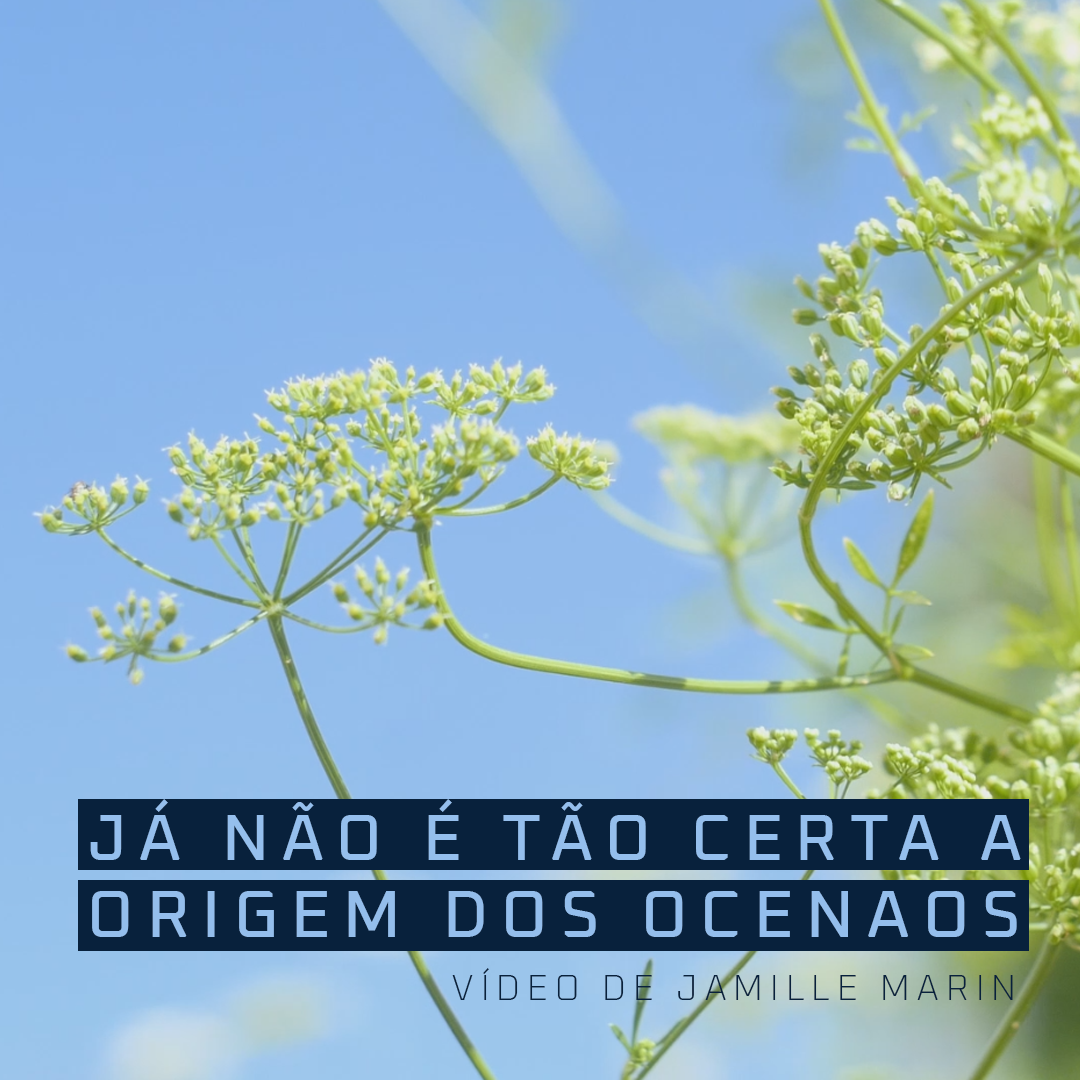 JA NAO É TAO CERTA A ORIGEM DOS OCEANOS_Cartaz - Max Guimarães